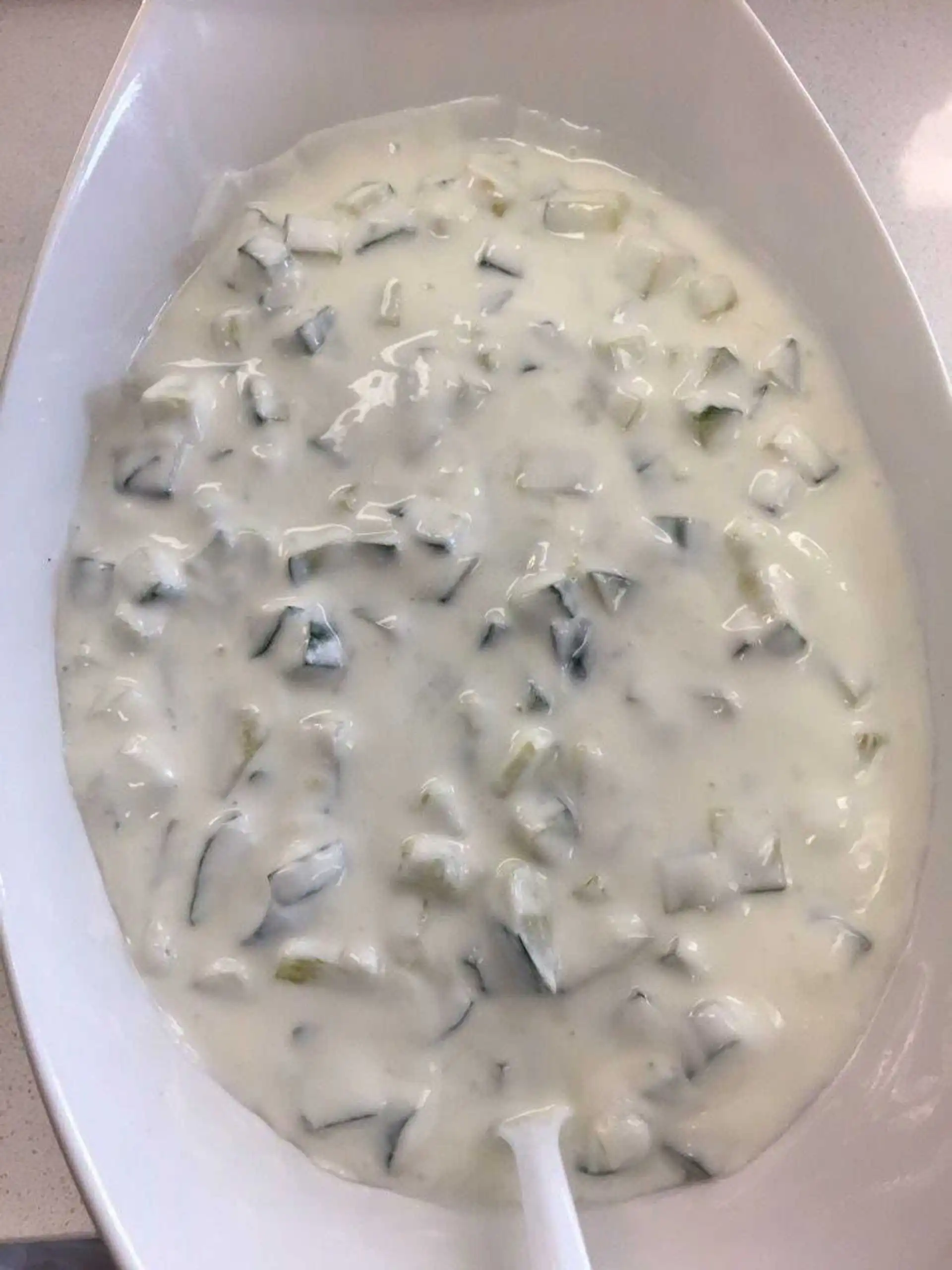 Fresh Tzatziki sauce at Eat-A-Pita Calgary - Mediterranean appetizer